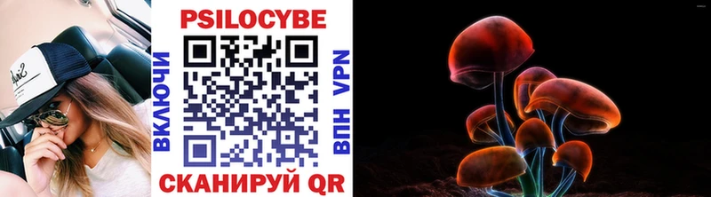 Псилоцибиновые грибы Cubensis  купить наркотики сайты  Дедовск 