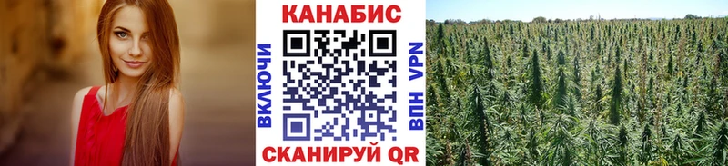 Конопля MAZAR  Дедовск 